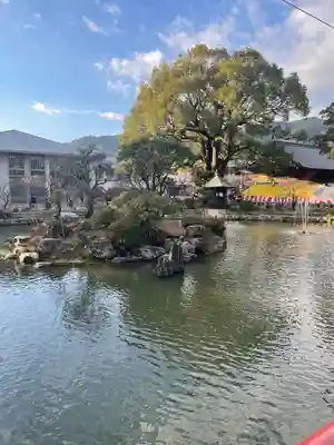 太宰府天満宮(福岡県)