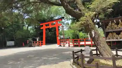 賀茂御祖神社（下鴨神社）(京都府)