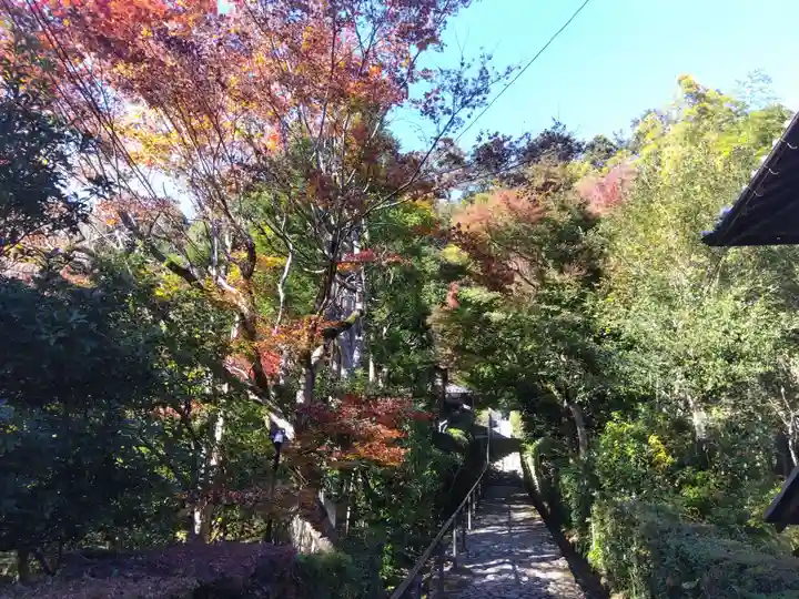 高倉天皇皇后 大原西陵(京都府)