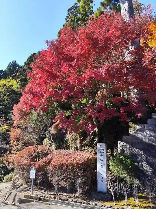 太龍寺(徳島県)