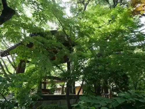 無量寺のその他建物