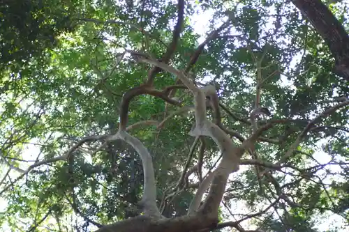 廣瀬大社(奈良県)