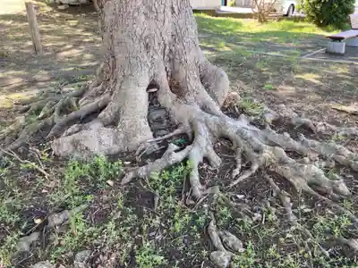 八坂神社(神奈川県)