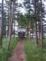 神社(名称不明)の本殿