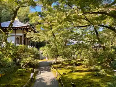 宝厳院(京都府)