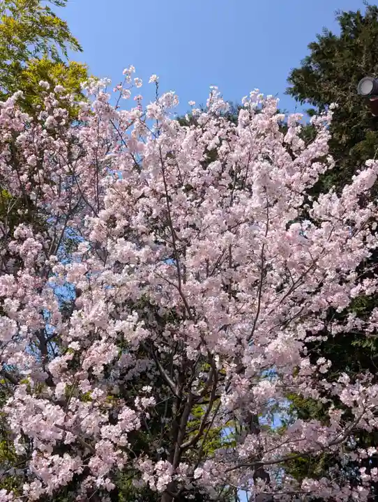 寳幢院(東京都)