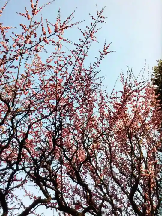 新井天神北野神社(東京都)