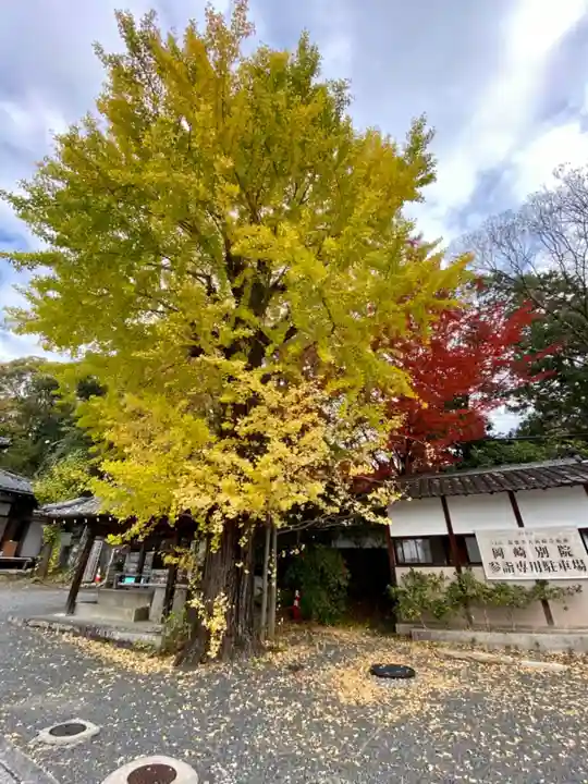 東本願寺岡崎別院の自然