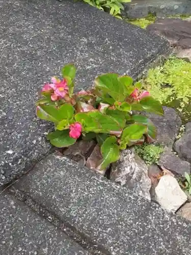 西方山極楽寺の自然