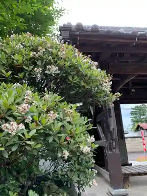 延命院(栃木県)