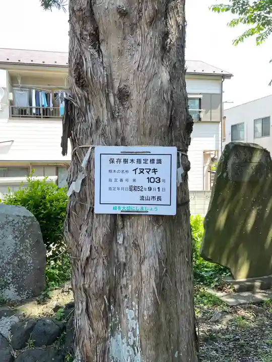浅間神社(千葉県)