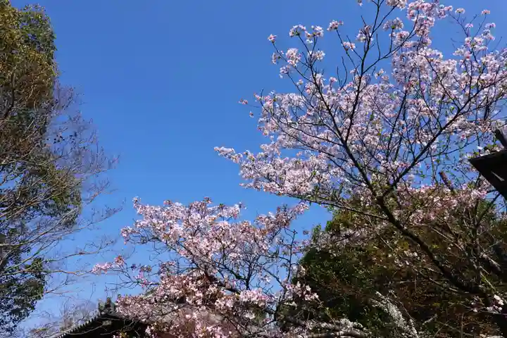 海龍王寺(奈良県)