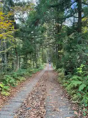 戸隠神社九頭龍社(長野県)