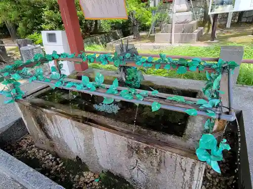 津島神社の手水舎