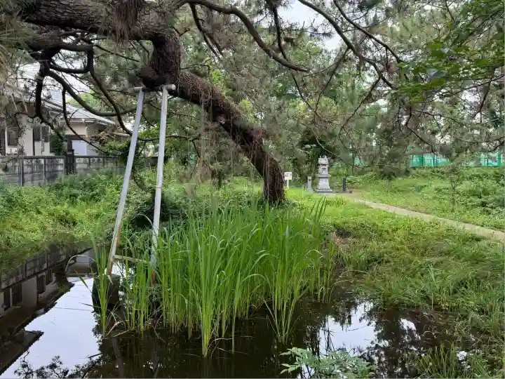 鶴嶺八幡宮(神奈川県)