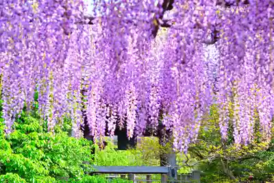 西新井大師総持寺(東京都)
