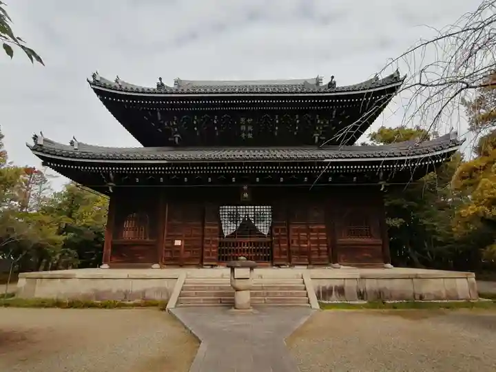 妙興報恩禅寺(妙興寺)の本殿・本堂