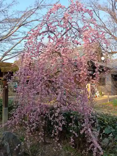 梨木神社(京都府)