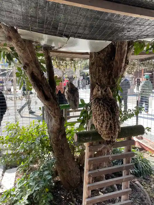 宮地嶽神社(福岡県)