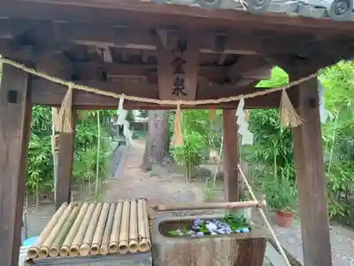 大鳥羽衣濱神社の手水舎