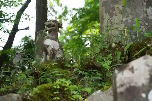 武蔵御嶽神社の狛犬