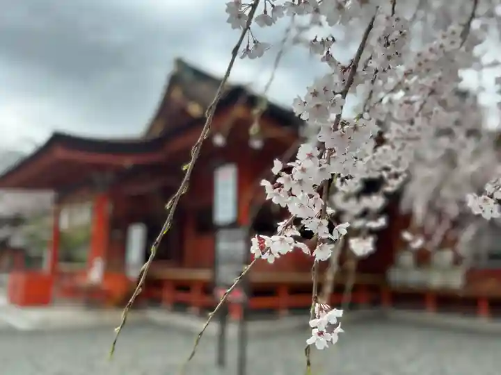 富士山本宮浅間大社の自然