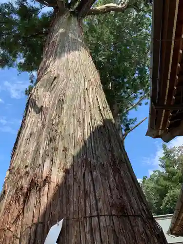 大宮八幡宮(兵庫県)