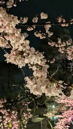 知恩院(京都府)