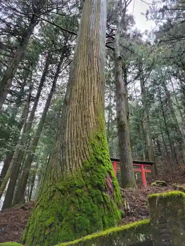 榛名神社(群馬県)