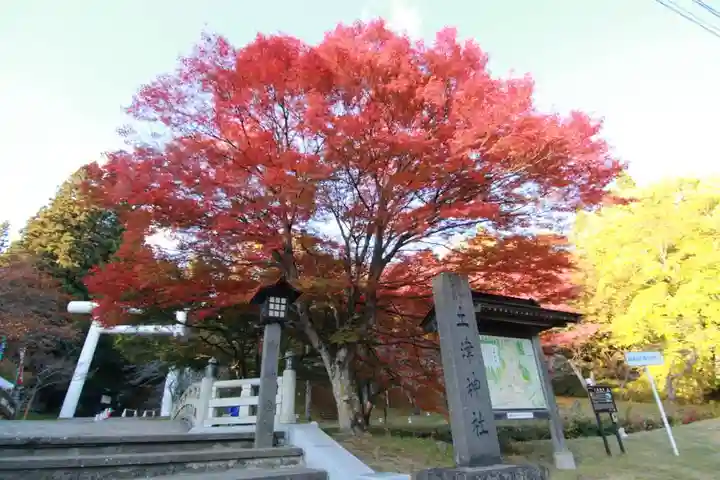 土津神社|こどもと出世の神さまのその他建物