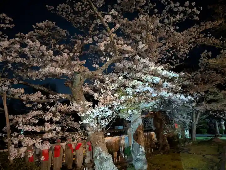 福聚寺(福島県)