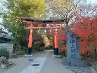 宇治上神社(京都府)