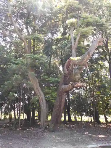 諏訪八幡神社の庭園