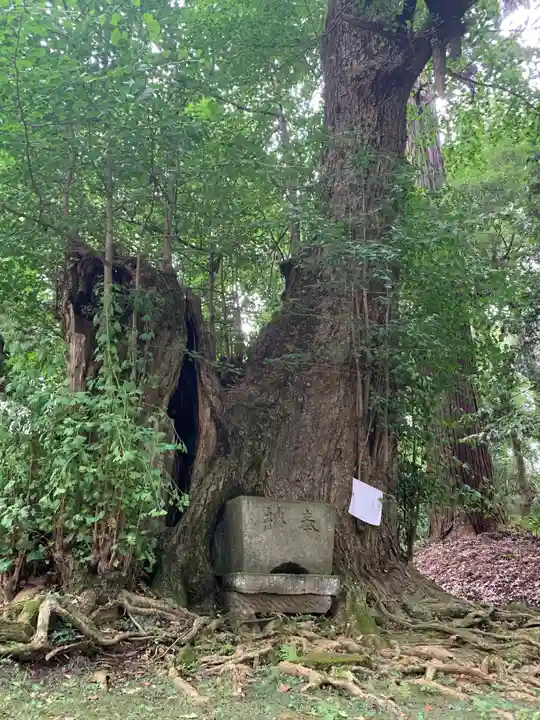御嶽神社(千葉県)
