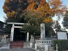 岩槻久伊豆神社(埼玉県)