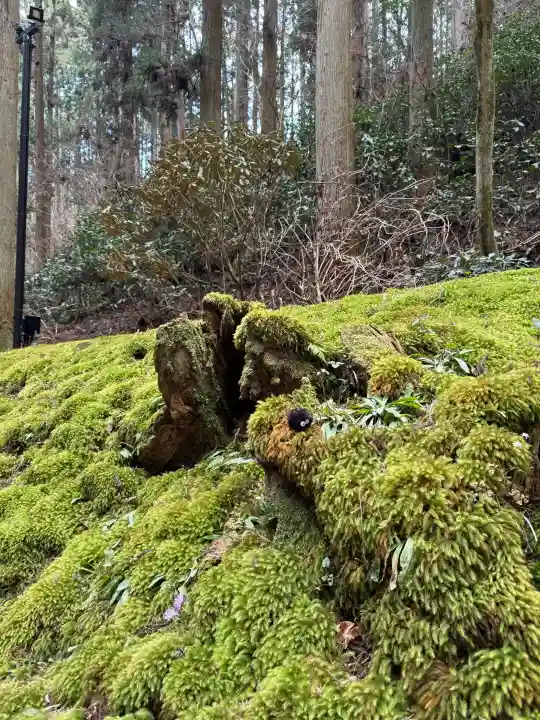 御岩神社の{uncategorized: "未分類", other: "その他", undefined: "問題あり", building: "その他建物", grave: "お墓", sacred_gate: "鳥居", guardian: "狛犬", statue: "像", buddha: "仏像", history: "歴史", nature: "自然", garden: "庭園", animal: "動物", pagoda: "塔", temizu: "手水舎", mountain_gate: "山門・神門", sanctuary: "本殿・本堂", subordinate: "末社・摂社", art: "芸術", scenery: "景色", jizo: "地蔵", ema: "絵馬", goshuin: "御朱印", omikuji: "おみくじ", items: "授与品その他", amulet: "お守り", goshuincho: "御朱印帳", eats: "食事", festival: "お祭り", votive_dance: "神楽", shichigosan: "七五三参", wedding: "結婚式", experience: "体験その他", initially: "初詣", around: "周辺", anti_infection: "感染症対策"}