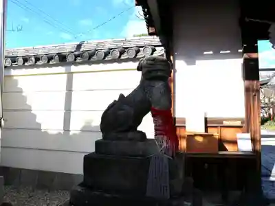 御霊神社の狛犬