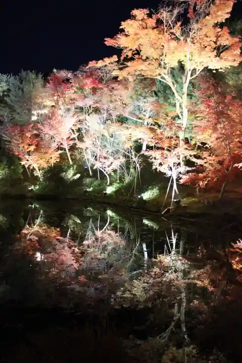 高台寺(高台寿聖禅寺・高臺寺)(京都府)
