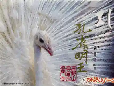 『動物御朱印　インドクジャク』
普門寺さん×豊橋総合動植物公園さん
（のんほいパーク）
御朱印の浄財の一部は動物のエサ代として寄付されるそうです