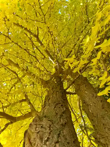 伊達神社(北海道)