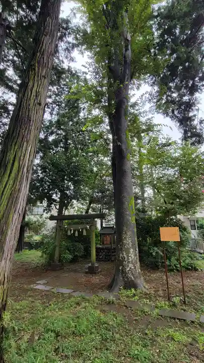 若宮神社の末社・摂社