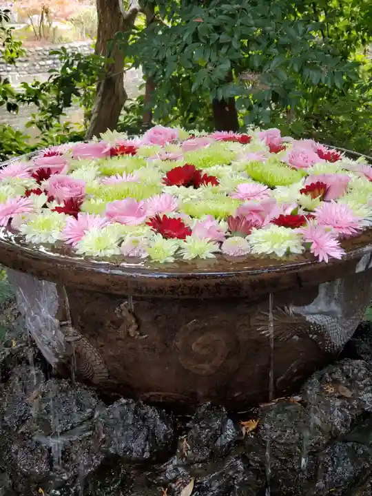 武蔵一宮氷川神社(埼玉県)