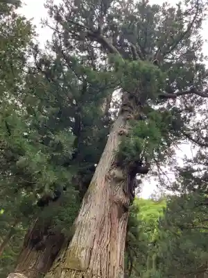 塩原八幡宮(栃木県)