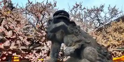 湯島天満宮(東京都)