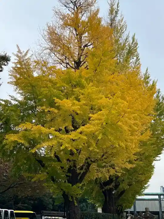 靖國神社(東京都)