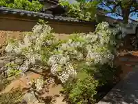 長慶院(京都府)