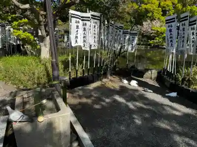 白旗神社の{uncategorized: "未分類", other: "その他", undefined: "問題あり", building: "その他建物", grave: "お墓", sacred_gate: "鳥居", guardian: "狛犬", statue: "像", buddha: "仏像", history: "歴史", nature: "自然", garden: "庭園", animal: "動物", pagoda: "塔", temizu: "手水舎", mountain_gate: "山門・神門", sanctuary: "本殿・本堂", subordinate: "末社・摂社", art: "芸術", scenery: "景色", jizo: "地蔵", ema: "絵馬", goshuin: "御朱印", omikuji: "おみくじ", items: "授与品その他", amulet: "お守り", goshuincho: "御朱印帳", eats: "食事", festival: "お祭り", votive_dance: "神楽", shichigosan: "七五三参", wedding: "結婚式", experience: "体験その他", initially: "初詣", around: "周辺", anti_infection: "感染症対策"}