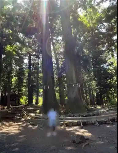 河口浅間神社(山梨県)