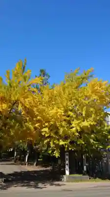 相馬神社(北海道)