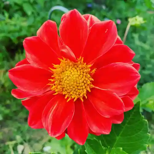 豊景神社の自然